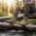 Mil-Tec Squad Stiefel multicam