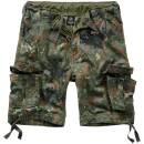 Urban Legend Shorts flecktarn