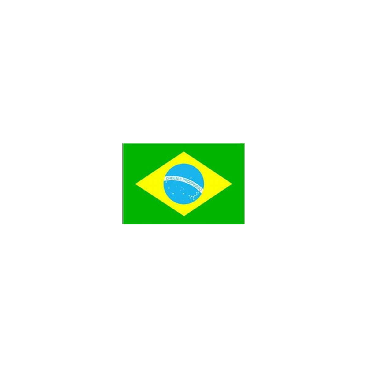 Brasilien Fahne Flagge Stockfahne weißen Saum 30x45 cm WM 