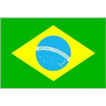 Flagge / Fahne Brasilien