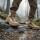 BW Kampfstiefel HAIX heiß/trocken khaki