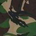 Tarnmuster Britisch DPM Armee Tarn Britisch DPM Armee Tarn